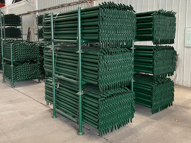 księga gł&oacute;wna