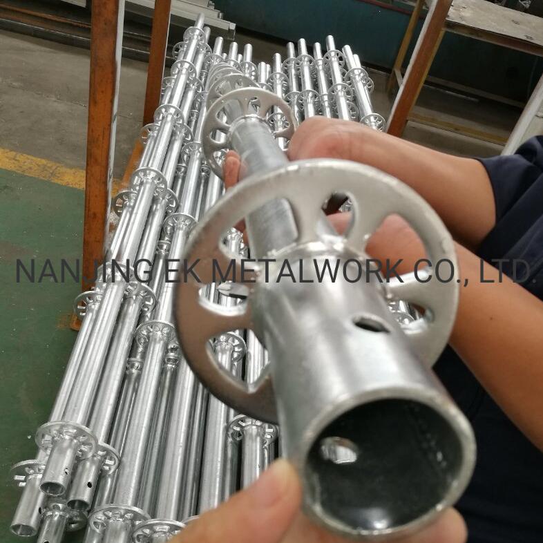 HDG Standard dla Ringlock System1 