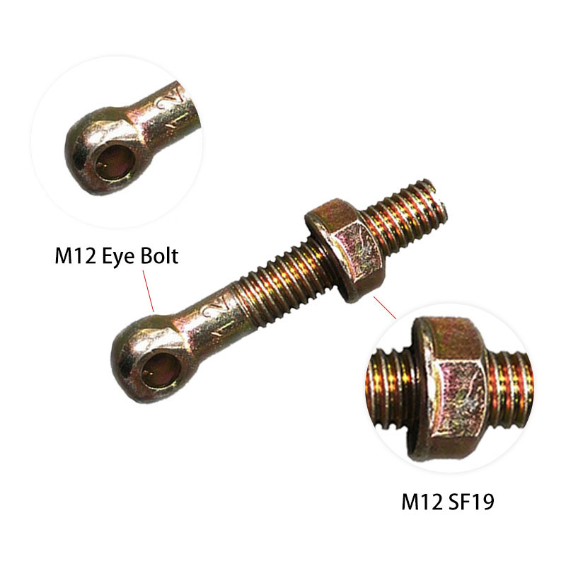 M12 Bolt oczu i M12 SF19